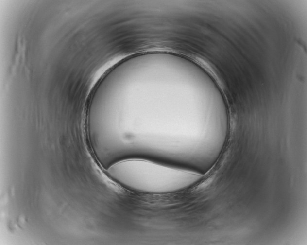 X0000100481149200806130727