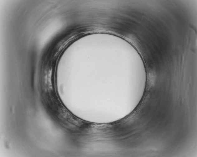 X0000100481150200806130727
