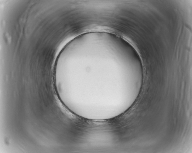 X0000100481152200806130727