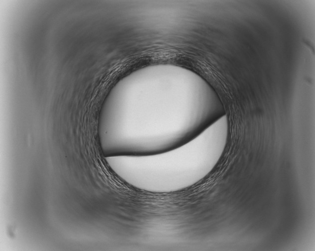 X0000100481153200806130726