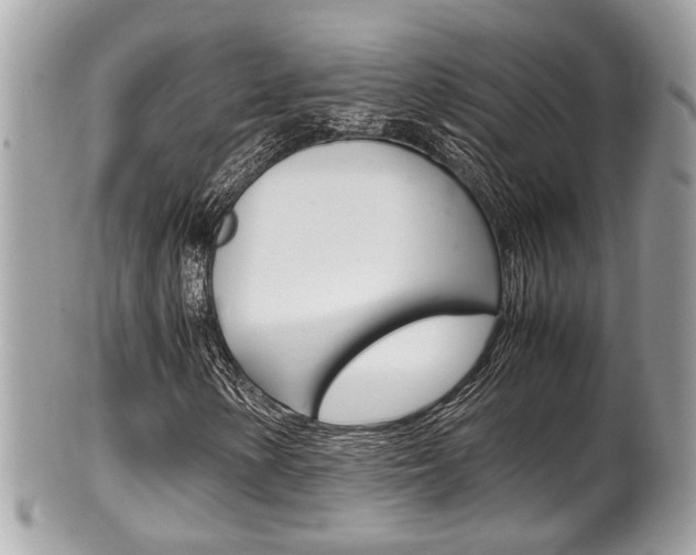 X0000100481154200806130726