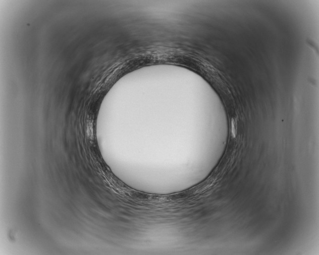 X0000100481155200806130726