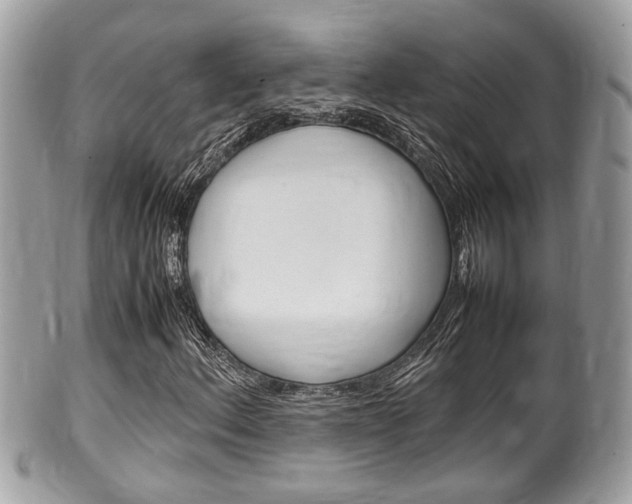 X0000100481156200806130726