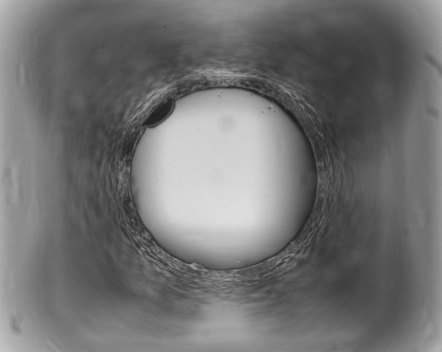 X0000100481157200806130726