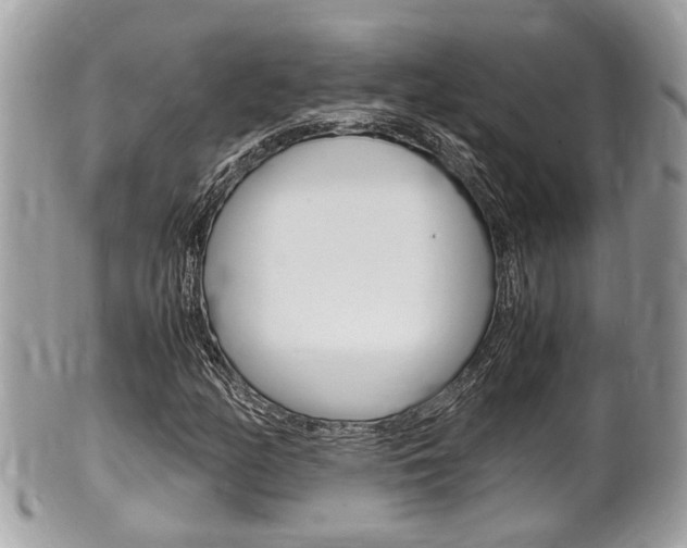 X0000100481158200806130726