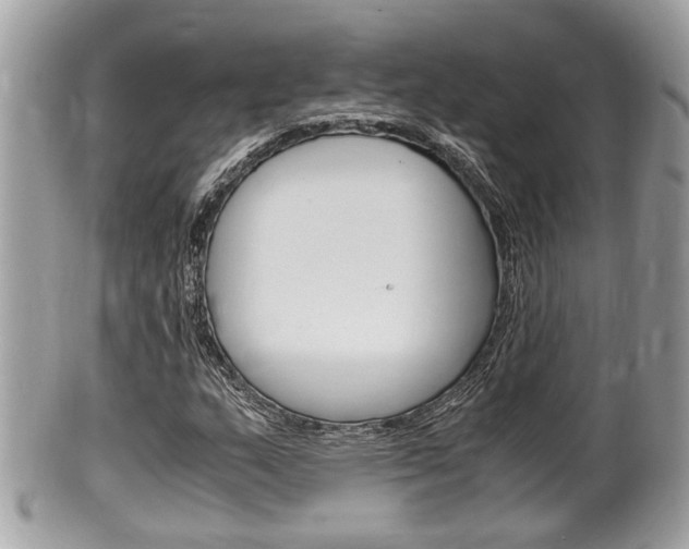 X0000100481159200806130726