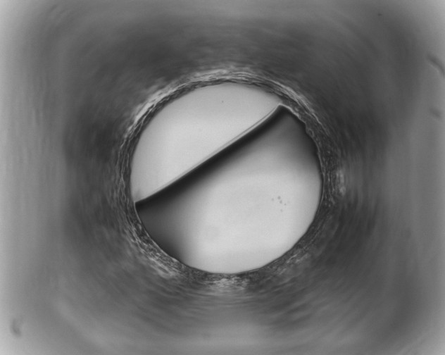 X0000100481160200806130726