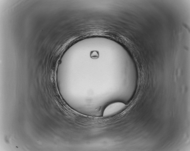 X0000100481161200806130726