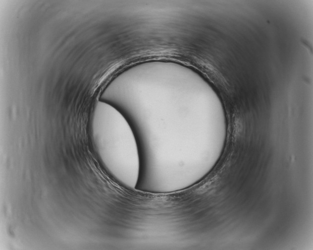 X0000100481162200806130726