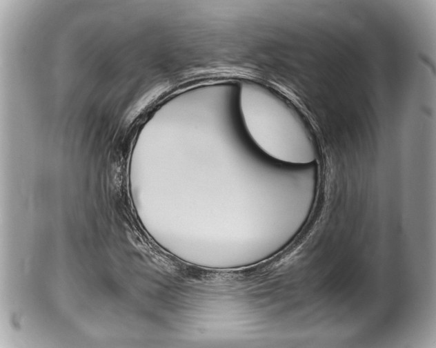 X0000100481163200806130726