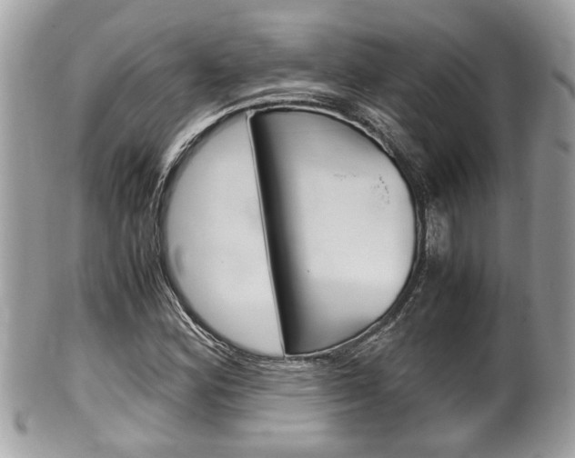 X0000100481164200806130726