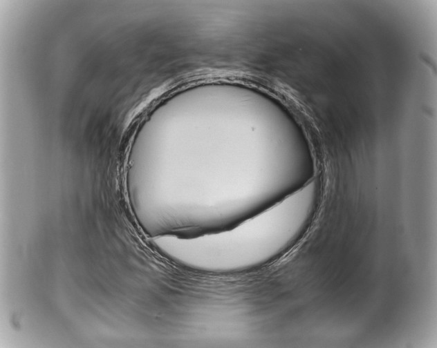 X0000100481165200806130726