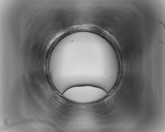 X0000100481166200806130726