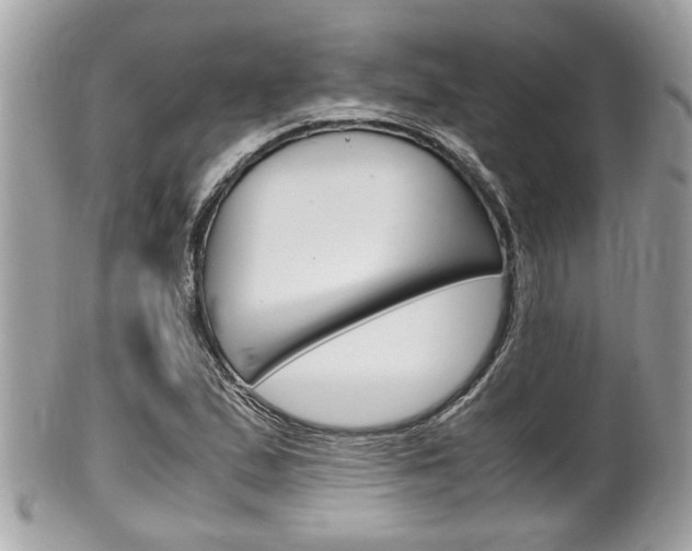 X0000100481167200806130726