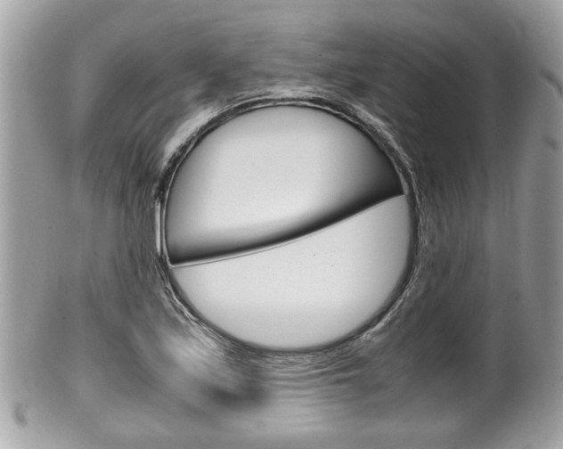 X0000100481171200806130726