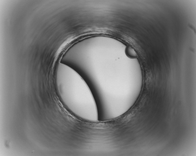 X0000100481172200806130726