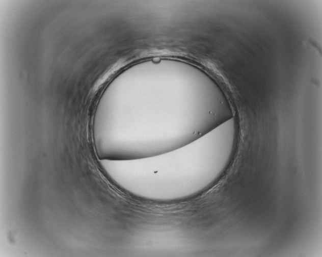 X0000100481173200806130726
