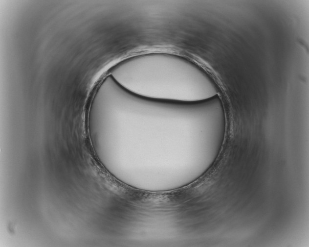 X0000100481174200806130726