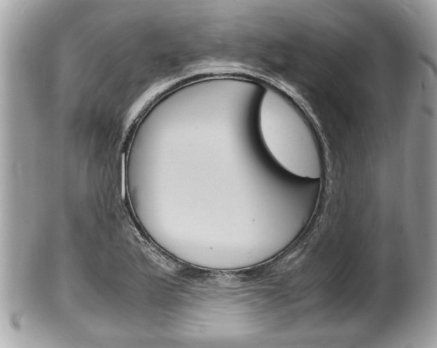 X0000100481175200806130726