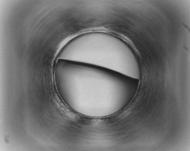 X0000100481176200806130726