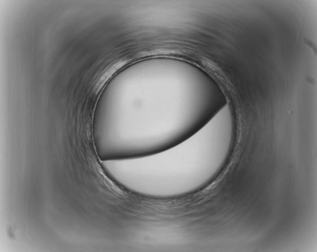 X0000100481177200806130726