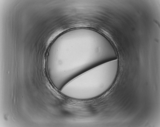 X0000100481179200806130726
