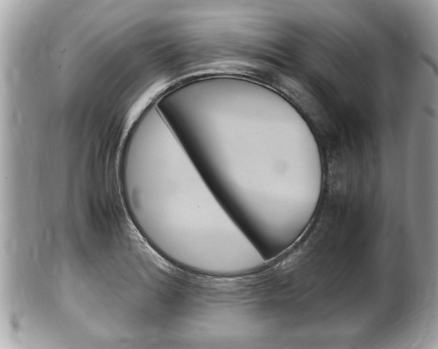 X0000100481180200806130726