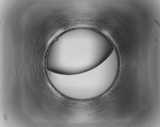 X0000100481181200806130726