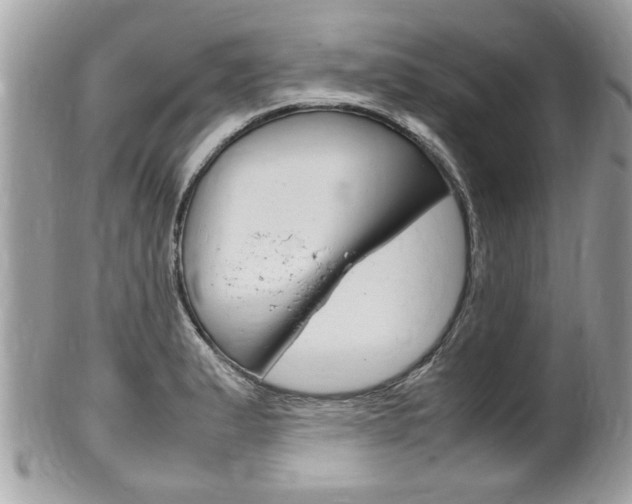 X0000100481183200806130726