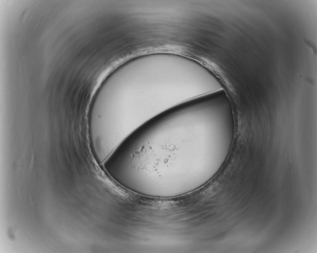 X0000100481184200806130726