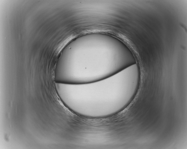 X0000100481185200806130726