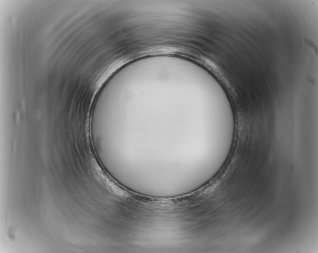 X0000100481186200806130726