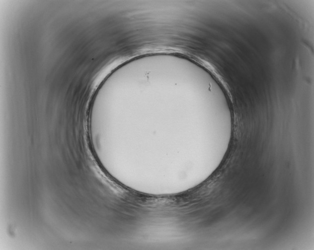 X0000100481187200806130725