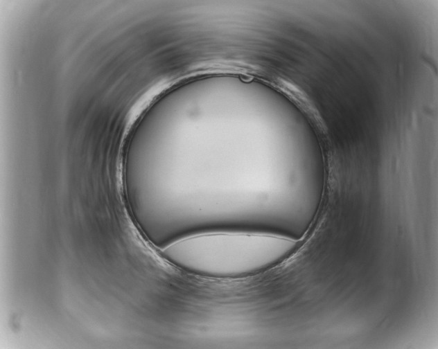 X0000100481188200806130725
