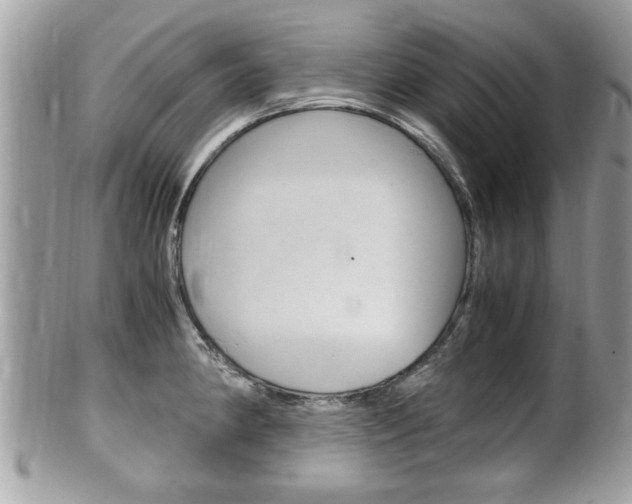 X0000100481190200806130725