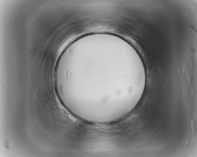 X0000100481191200806130725