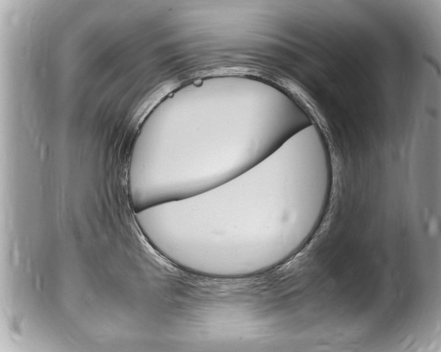 X0000100481193200806130725