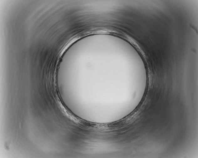 X0000100481194200806130725