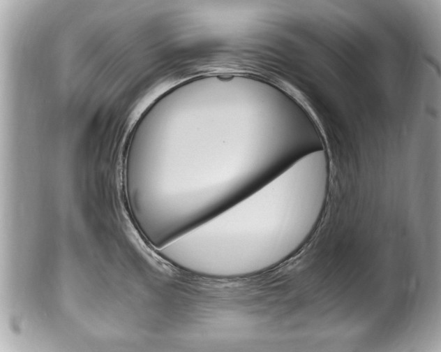 X0000100481195200806130725