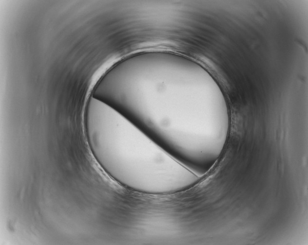 X0000100481196200806130725