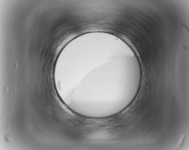 X0000100481197200806130725