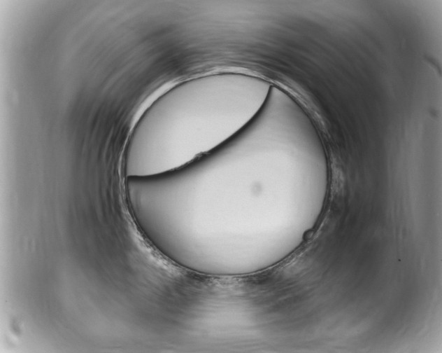 X0000100481198200806130725