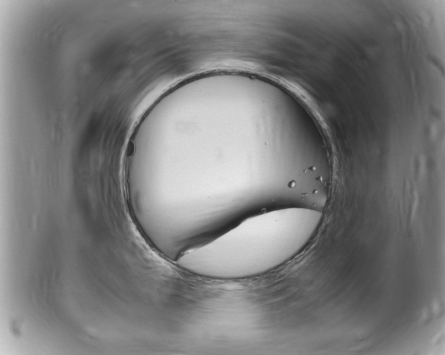X0000100481199200806130725