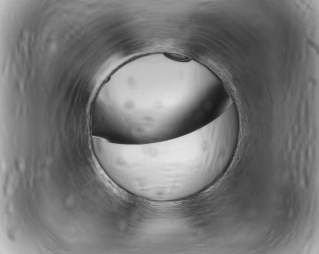 X0000100481200200806130725