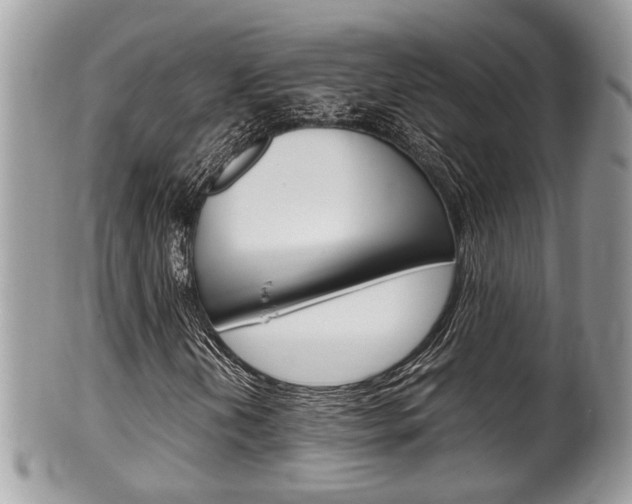 X0000100481202200806130724