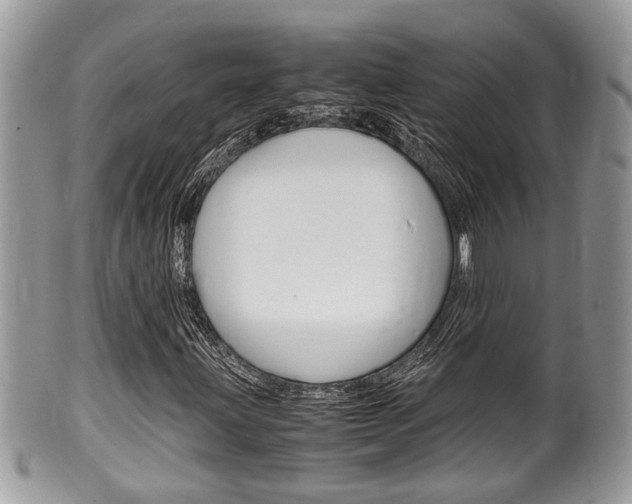 X0000100481203200806130724