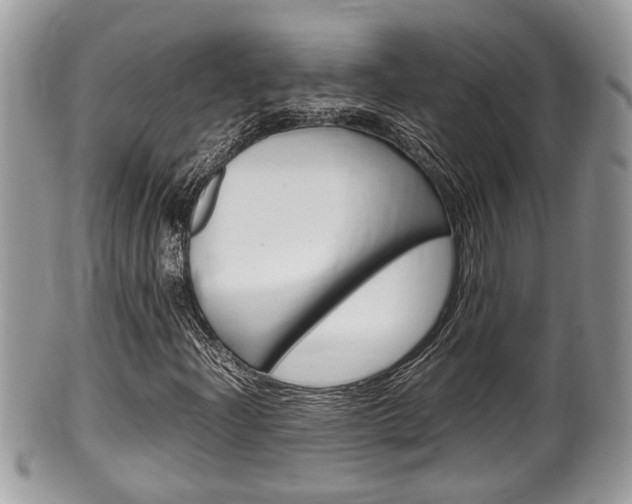 X0000100481204200806130725
