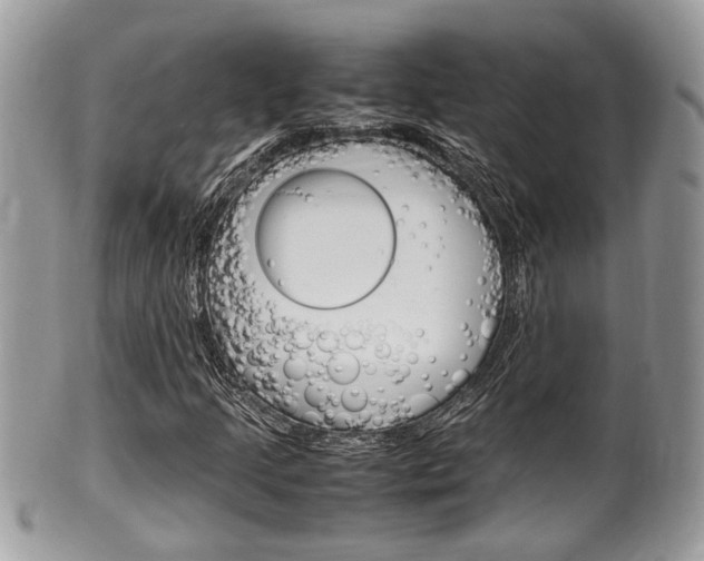 X0000100481205200806130725