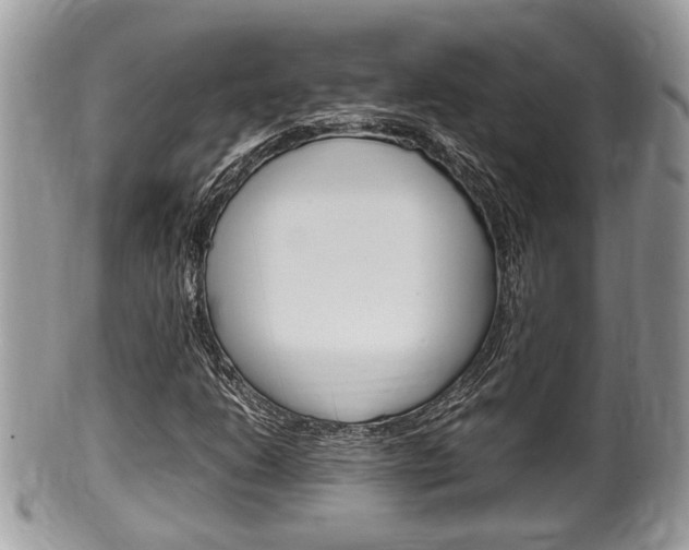 X0000100481206200806130725