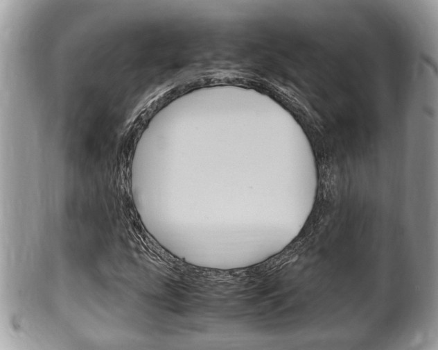 X0000100481207200806130725